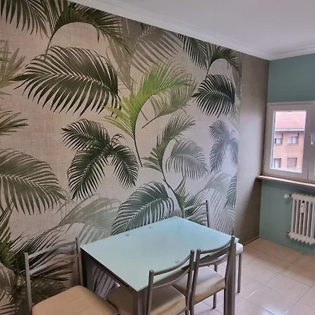 Jasjose Gascona - Centrico, Con Garaje Vut-4924-as * Oviedo